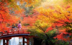 Wooden bridge in the autumn park, Japan autumn season, Kyoto Japan = Shutterstock
