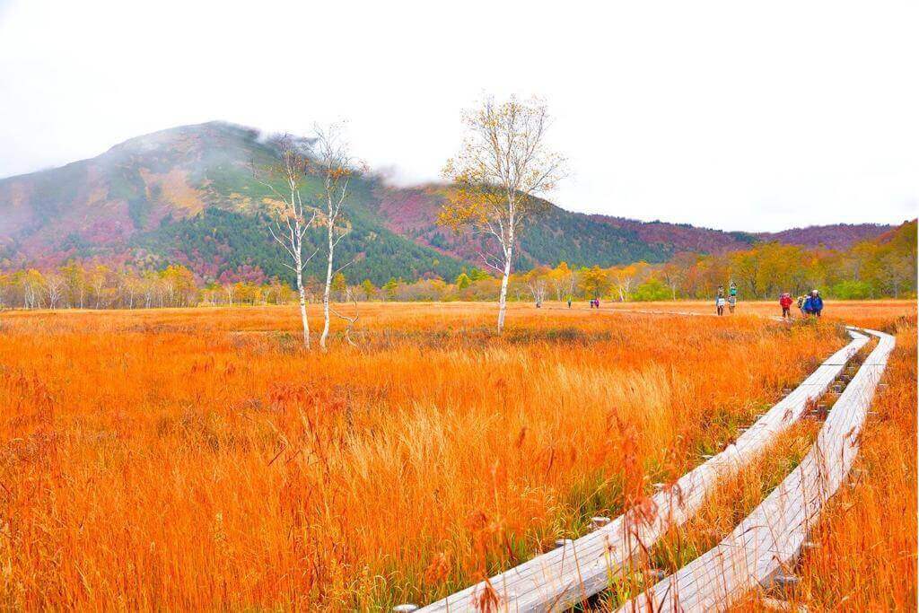 Autumn in Oze highland, Gunma Prefecture, Japan = Adobe Stock