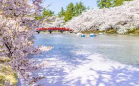 Cherry blossoms at the Hirosaki Castle Park in Hirosaki, Aomori, Japan = Shutterstock