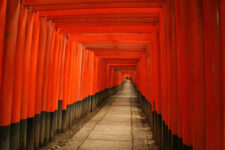 Fushimi Shrine, Kyoto, Japan = Adobe Stock