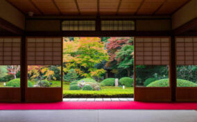 Harmony with Nature, Japan = Adobe Stock