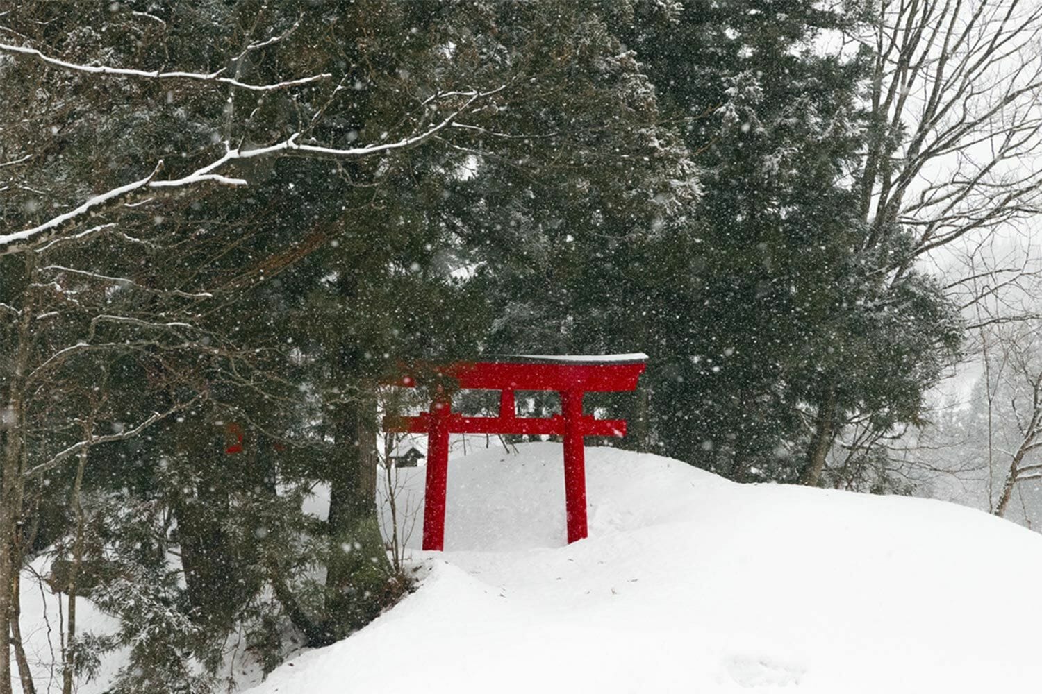 weather-and-climate-in-japan-year-round-tokyo-osaka-kyoto-hokkaido