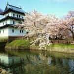 Matsumae Castle with cherry blossom in Hokkaido, Japan