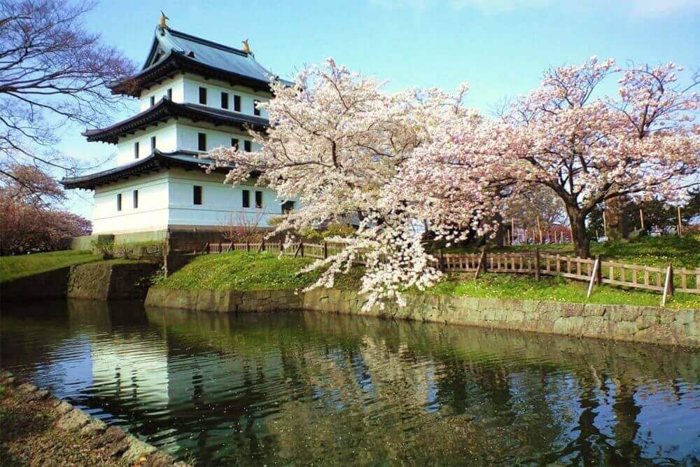 Matsumae Castle with cherry blossom in Hokkaido, Japan