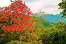 Mountains View from Mount Takao, with Red Leaves = Adobe Stock