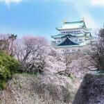 Nagoya Castle, Aichi Prefecture, Japan = Adobe Stock