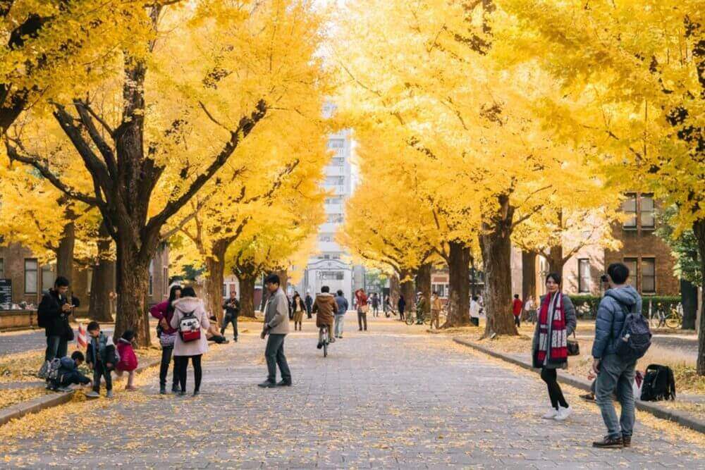 People watching Ginkgo yellow leaves at the road in front of the famous clock tower of the University of Tokyo called Yasuda Auditorium, Tokyo = Shutterstock