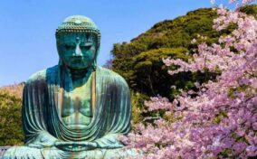 The Great Buddha in Kamakura Japan.The foreground is cherry blossoms.Located in Kamakura, Kanagawa Prefecture Japan = Shutterstock