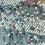 Shibuya Crossing in Tokyo, Japan = Adobe Stock