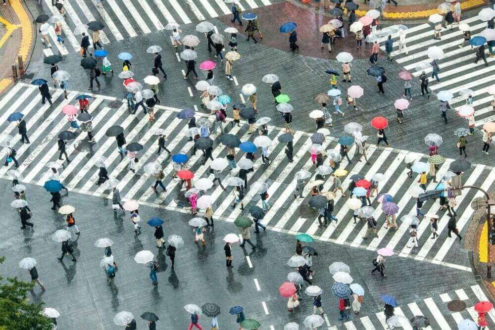 Shibuya Crossing in Tokyo, Japan = Adobe Stock