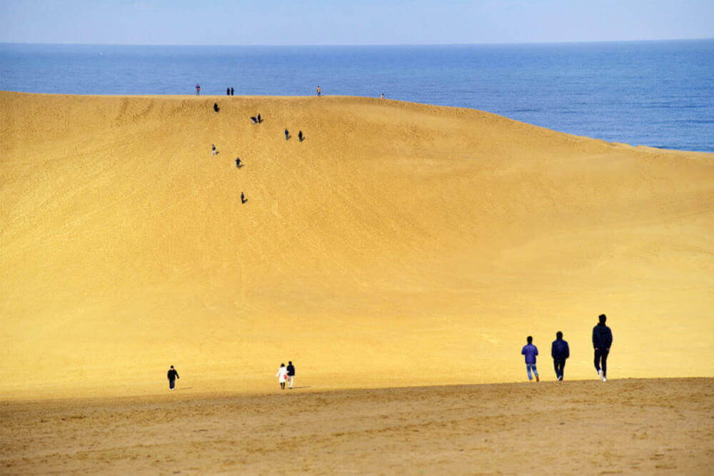 Tottori Prefecture! Best Attractions and Things to do