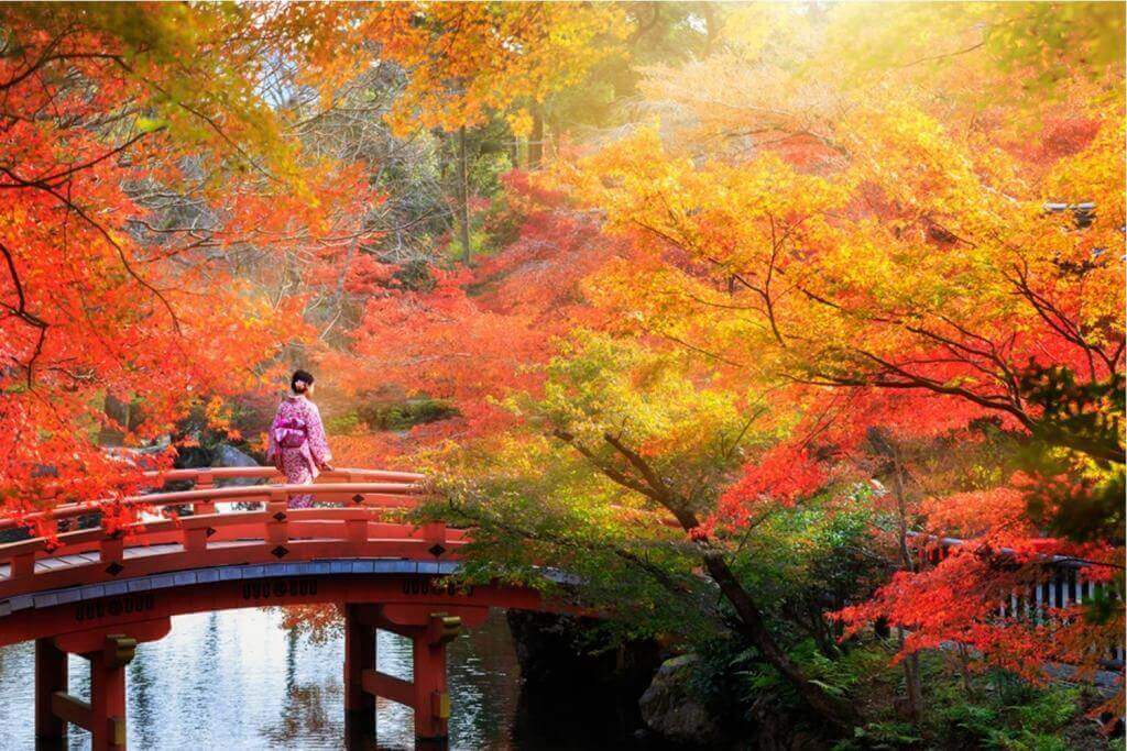 At this time, the autumn leaves in Kyoto and Tokyo are very beautiful. There are so many tourists around "Labor Thanksgiving Day" - Shutterstock