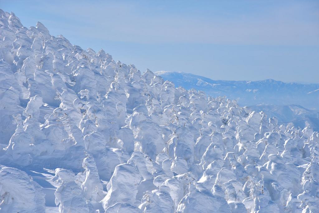 trees covered with hoar frost, Zao, Yamagata Prefecture