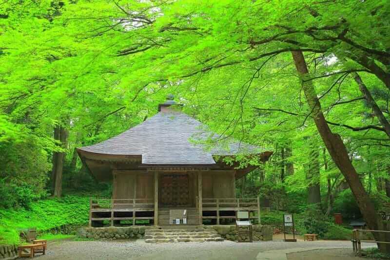 Chusonji temple surrounded by fresh green trees, Hiraizumi, Iwate Prefecture