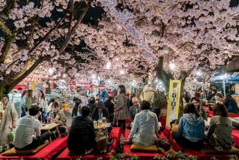 Japan crowds enjoy the spring cherry blossoms in Kyoto by partaking in seasonal night Hanami festivals in Maruyama Park at Kyoto, Japan. = Shutterstock