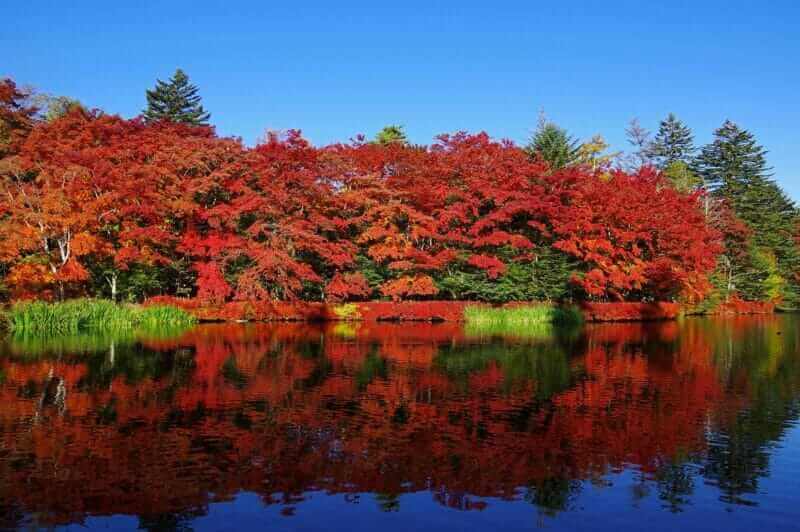 Kumoba Pond in autumn leaves period, Karuizawa = AdobeStock