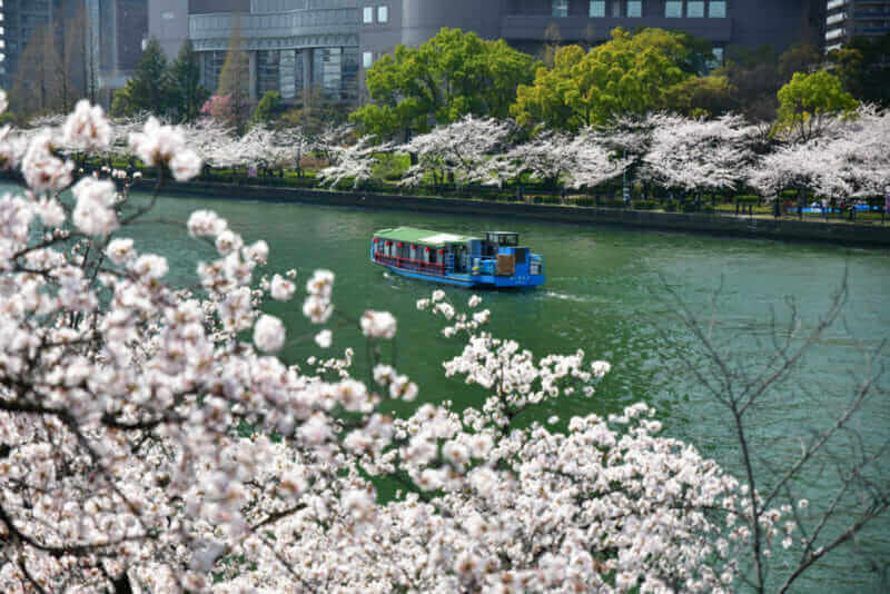 Cherry blossom flowers in garden with many people at Japan. Kema Sakuranomiya Park was a famous place of sakura garden = shutterstock