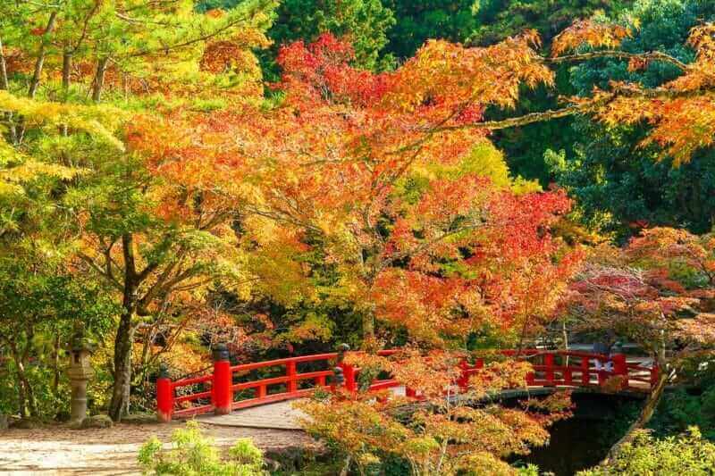 Autumn in Miyajima, Momiji valley park = shutterstock