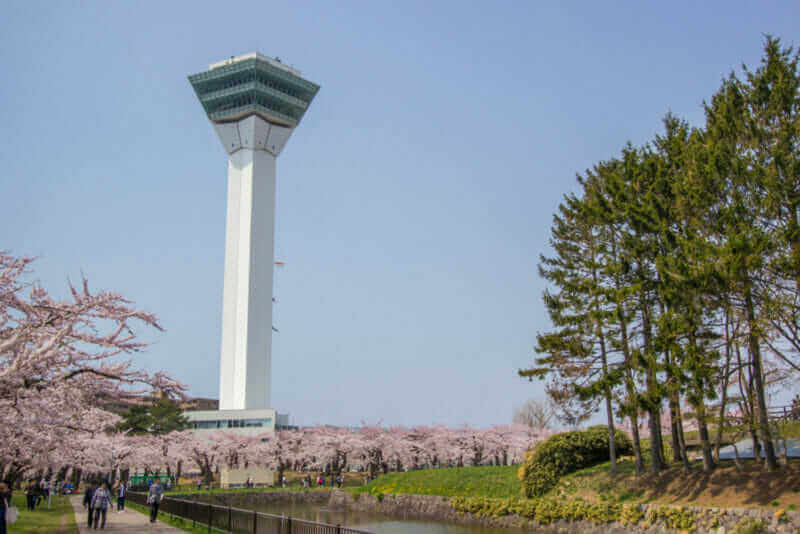 Springtime at Goryokaku Tower,with fully-bloomed cherry blossoms in the foreground = Shutterstock