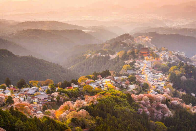 Yoshinoyama, Nara, Japan view of town and cherry trees during the spring season = shutterstock