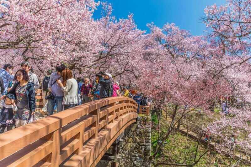 Travelers visiting the Takato Castle Ruins Park that located on a hill in Ina City of Nagano Prefecture,Japan = shutterstock