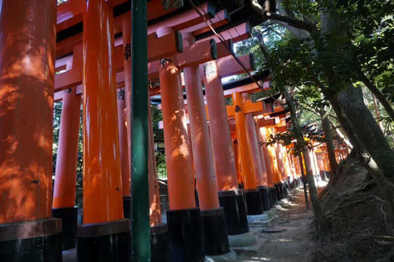 If you climb up to the summit of Fushimi Inari, you can see Kyoto city