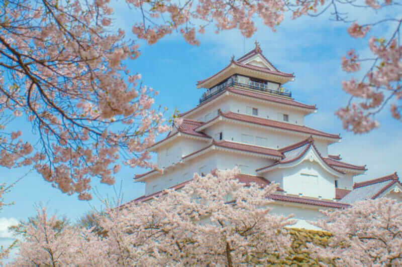 Tsuruga-jo Castle With Cherry Blossom(Sakura), Fukushima, Japan = shutterstock