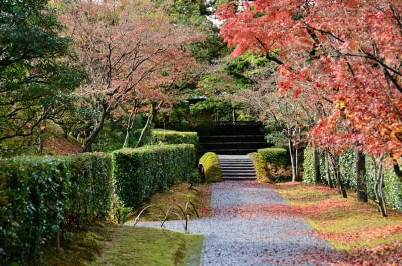 garden in Katsura Imperial Villa Kyoto Japan. red Fallen leaves. Katsura Rikyu = shutterstock