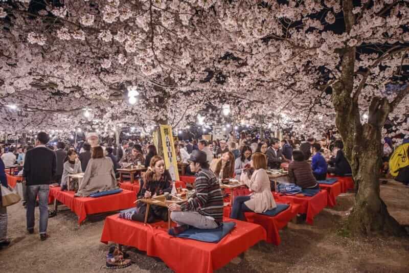 Crowds enjoy the spring cherry blossoms by partaking in seasonal nighttime Hanami festivals in Maruyama Park = shutterstock