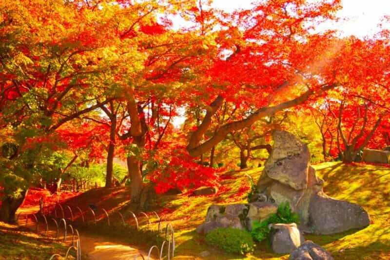 Korakuen in Okayama prefecture is also a landmark of autumn leaves = shutterstock
