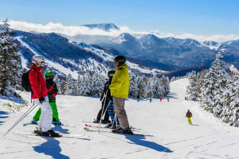 Ski resort Shiga Kogen, Group of skiers wearing bright clothes are standing on the slope of snow valley with pine trees = shutterstock