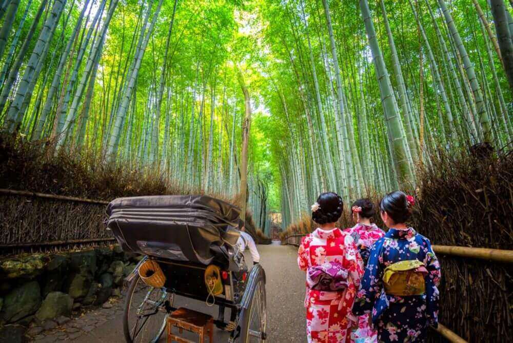 Young women wearing traditional Japanese Kimono and Rickshaw for sightseeing at Bamboo forest of Arashiyama, Arashiyama is a district on the western outskirts of Kyoto, Japan = shutterstock