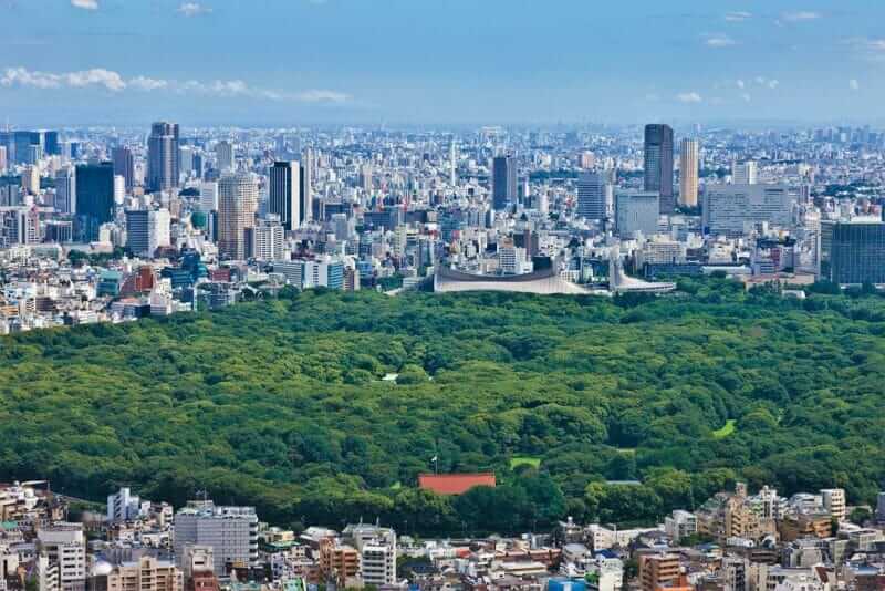 The forest of Meiji Shrine seen from the sky above Tokyo = AdobeStock