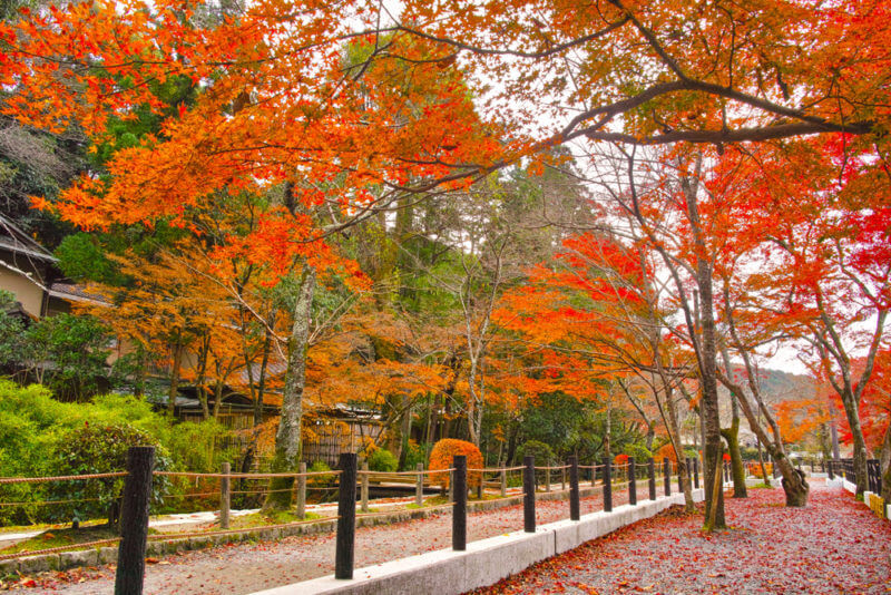 Kyoto in autumn leaves season, view from the Tetsugaku no Michi (Philosopher's Walk) in the morning = shutterstock