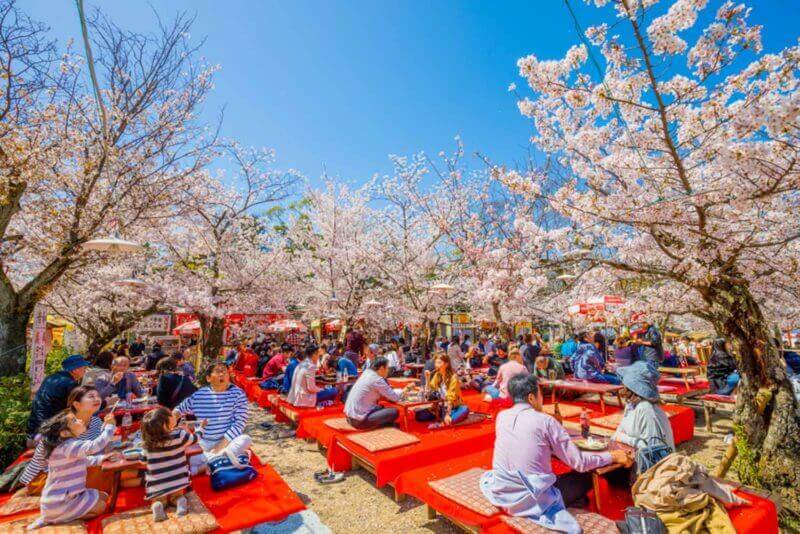 Maruyama Park is a public park next to Yasaka Shrine in the Higashiyama District Kyoto,Japan = shutterstock