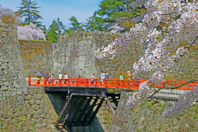 Stone wall of Tsurugajo Castle Park and Cherry Blossoms.Aizuwakamatsu Fukushima Japan.Late April = shutterstock