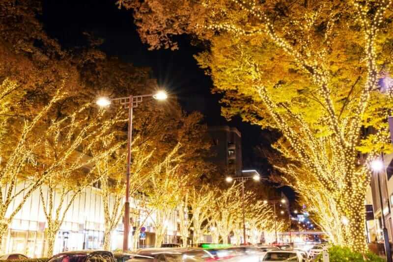 Scenery of Christmas illumination of "Omotesando" street. Zelkova trees are colored with gold bulbs and the town glows brightly, Tokyo, Japan = shutterstock