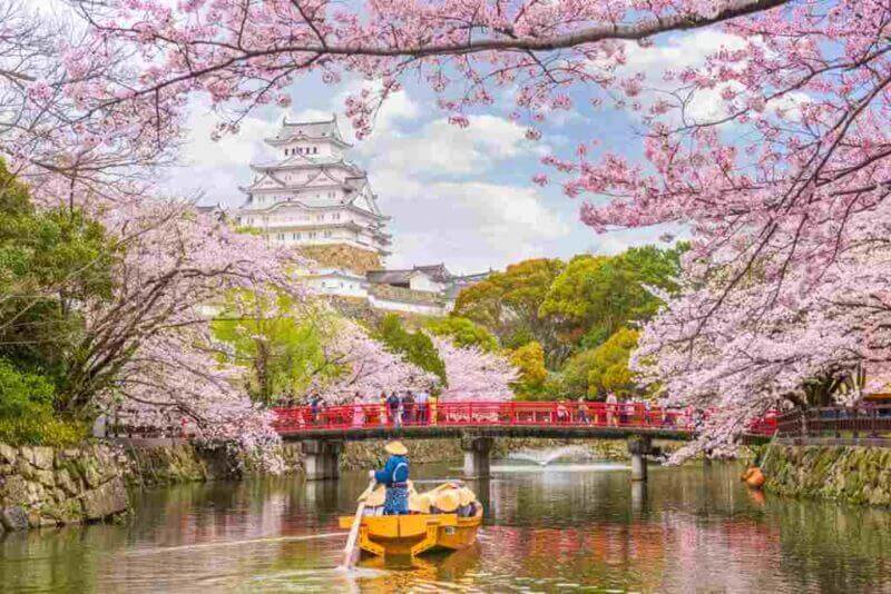 Himeji, Japan at Himeji Castle in spring with visitors for the cherry blossom season = shutterstock