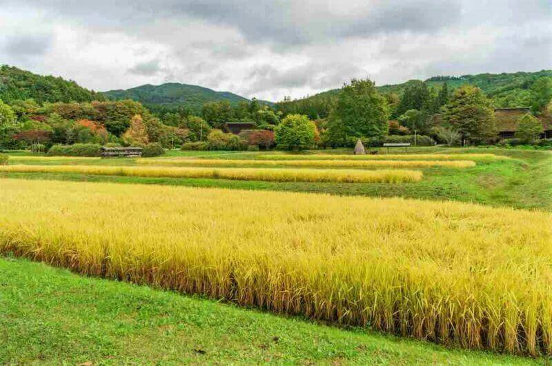 Tono Furusato village where old-fashioned rural landscape remains, Tono, Iwate prefecture, Japan = shutterstock