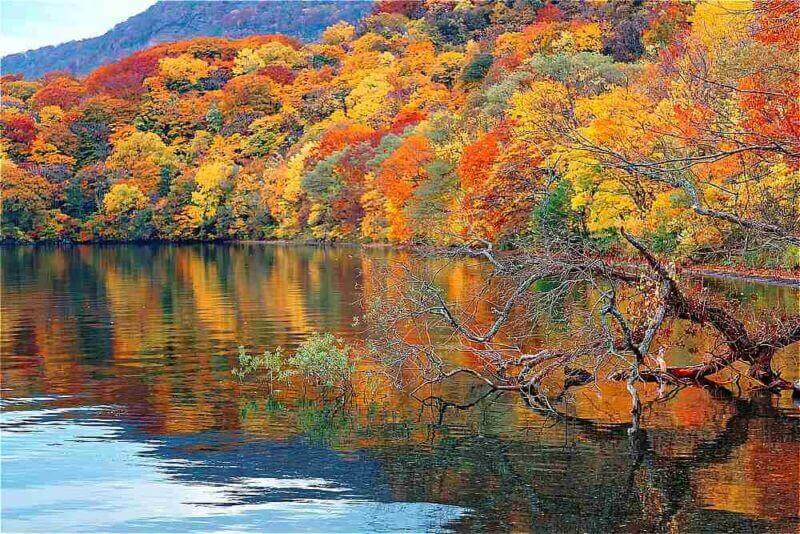 Fall scenery of majestic Towada Lake with colorful autumn trees on lakeside mountains reflected in the peaceful water in Towada Hachimantai National Park, Aomori, Japan = shutterstock