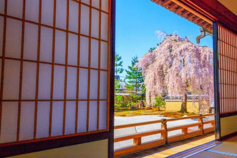 Kodaiji Temple is an outstanding temple in Kyoto Higashiyama District Japan = shutterstock