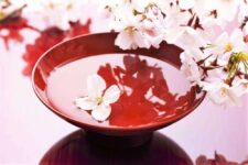 Cherry blossoms in the cup