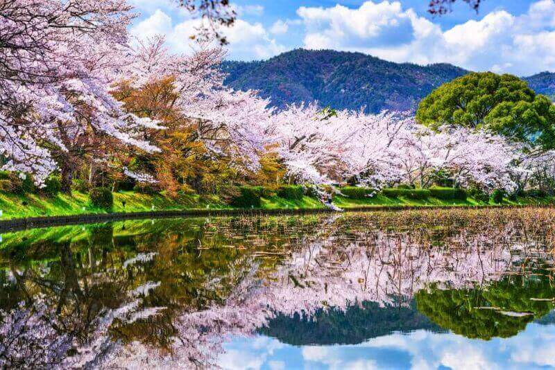 Kyoto, Japan in the Spring at Daikaku-ji Temple's pond = shutterstock