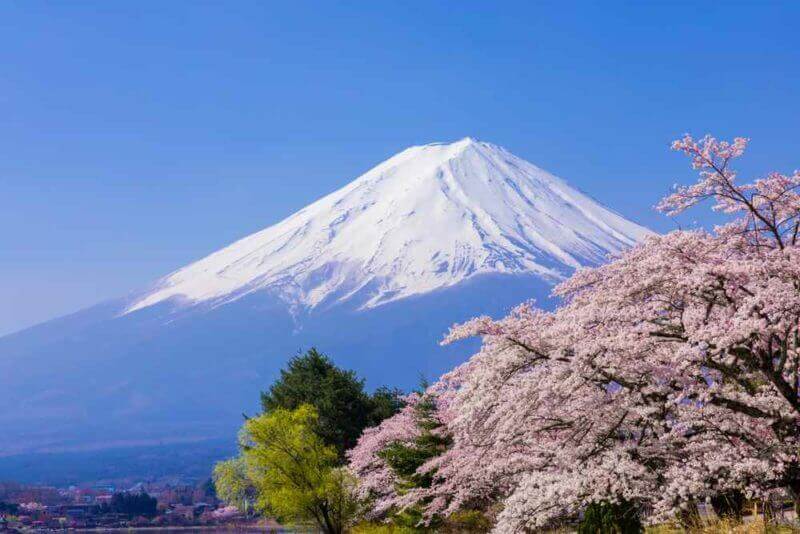 Mount Fuji and cherry blossoms.The shooting location is Lake Kawaguchiko, Yamanashi prefecture Japan = shutterstock