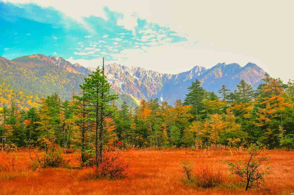 In the fall, the Kamikochi forest and grassland begin to glow red and yellow, Kamikochi, Japan