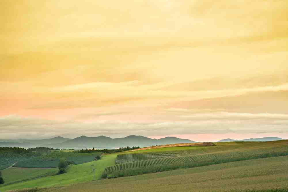 Evening landscape. Biei Hokkaido, Japan = Shutterstock