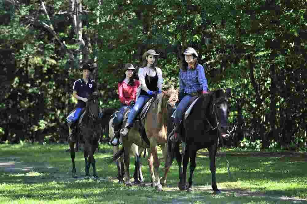 Beginners can also enjoy horseback riding at the horse riding facility “WILDMUSTANG'S” in Jozankei, Sapporo, Hokkaido