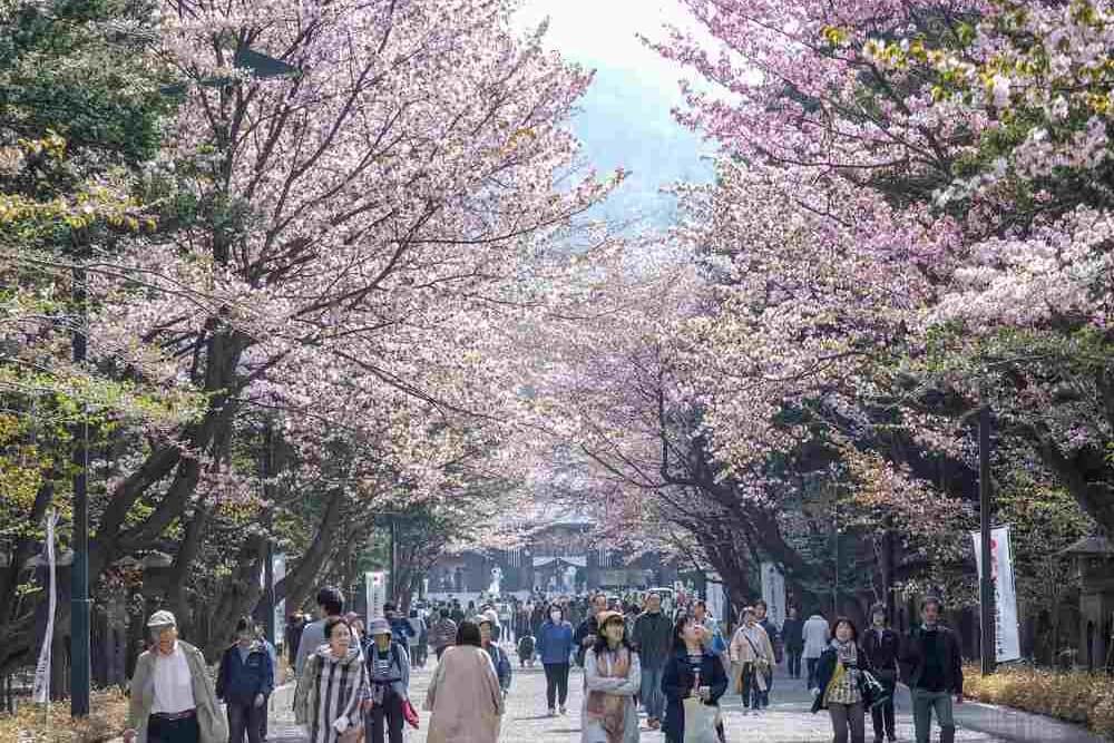 MAY 1, 2018 Hokkaido shrine is a shinto shrine located in Sapporo. sited in Maruyama park, Hokkaido = Shutterstock