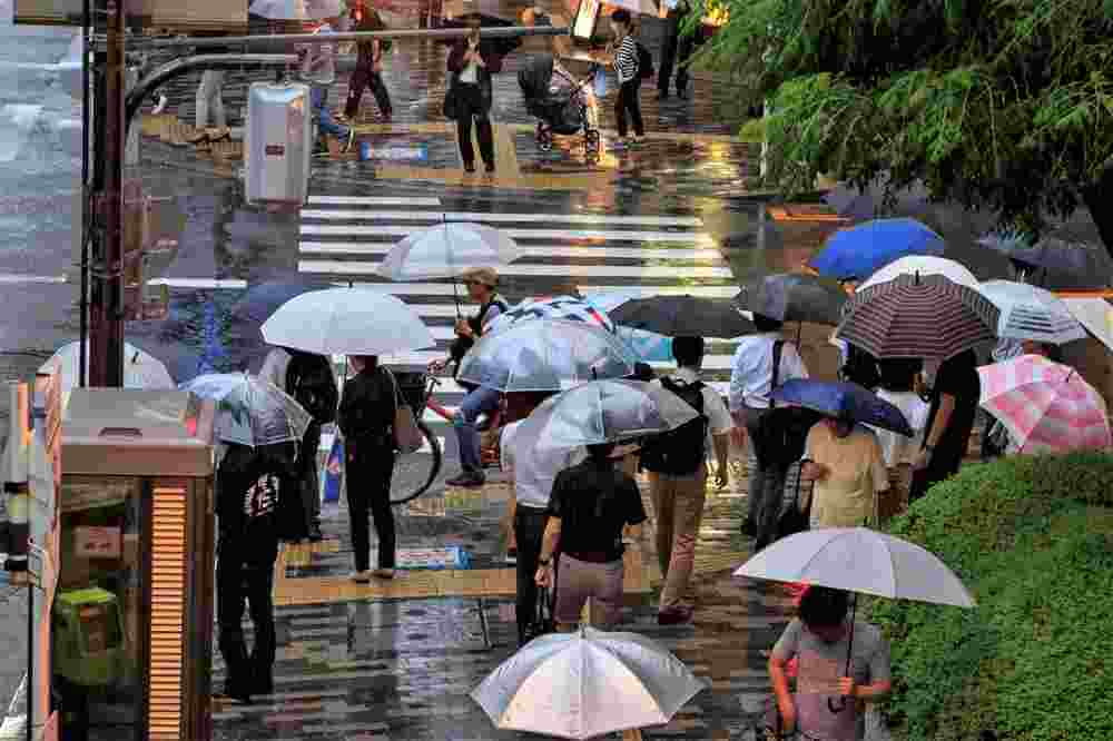 July 5, 2018: People with umbrellas wait to cross wet street in heavy rain = Shutterstock