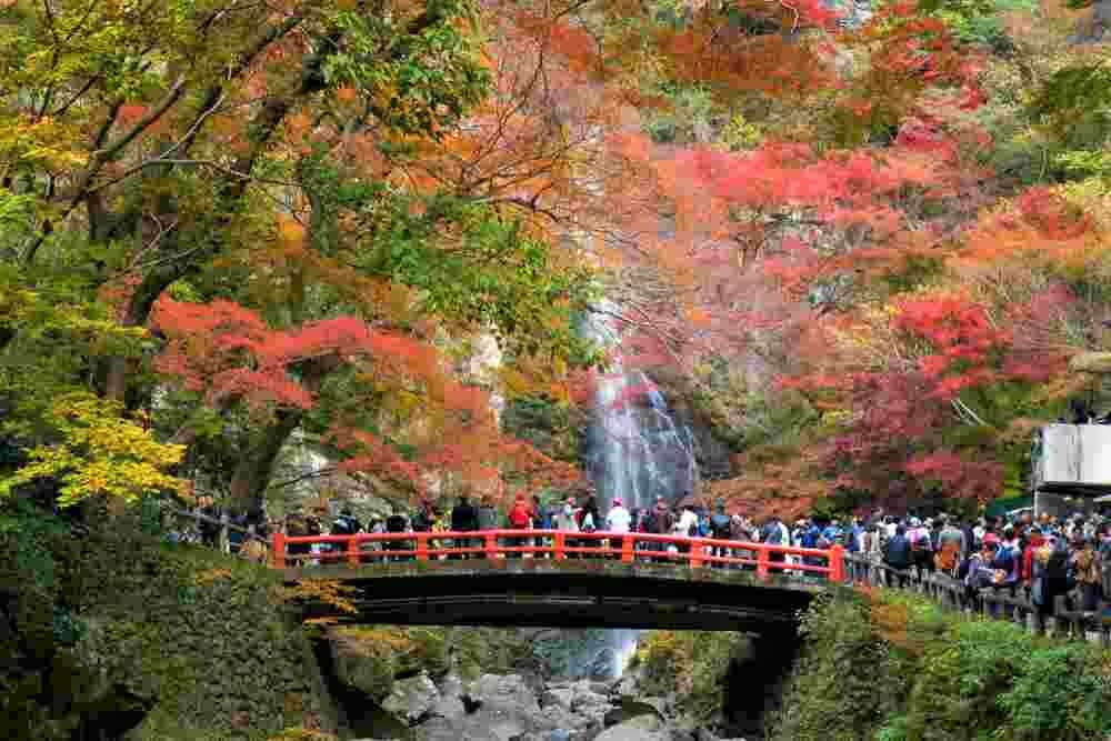 NOVEMBER 25, 2018: Mino waterfall full of tourists take photo in Autumn season Red Maple Leaf Fall Foliage, Minoo (Minoh or Mino) it is one of the best places in the Kansai, Osaka, Japan = Shutterstock